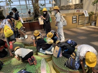 修学旅行　鳥羽水族館昼食後編